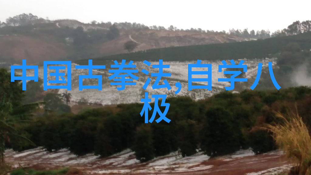 吴敏霞施廷懋在自然的氛围中三米板女子跳水世界杯轻松夺冠
