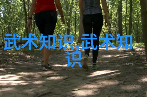 形意拳哪个流派厉害太极螳螂拳秘密之战