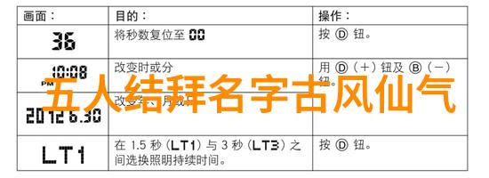 龙门秘笈与身手不凡武当全真的新希望