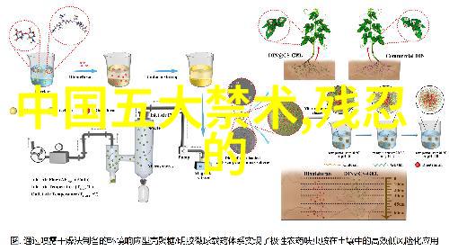 武当十五代传人数量武当派的传人众数