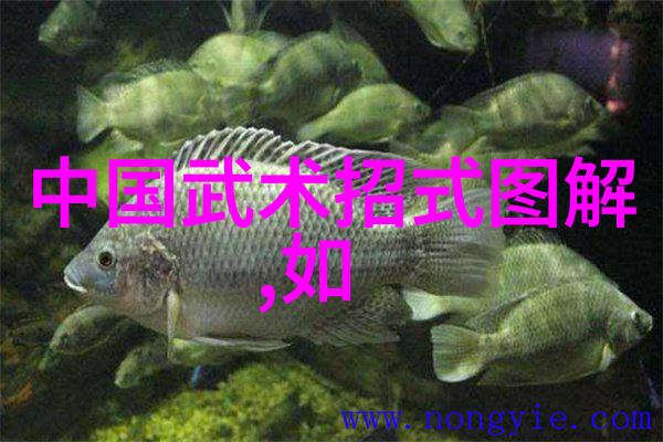 老师的棒棒一段书写记忆的回顾
