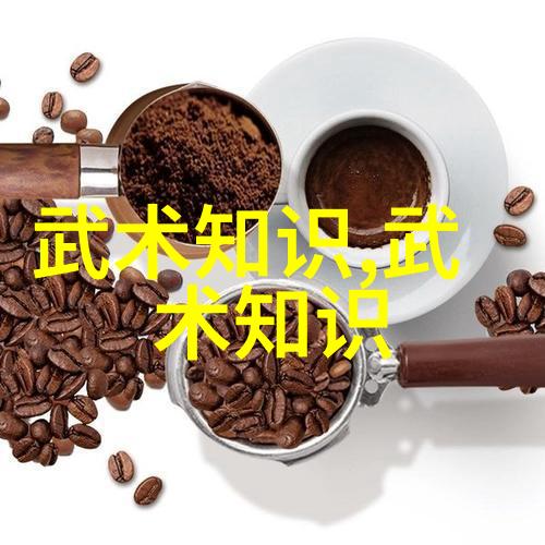 李雅轩太极拳论汇编武功名称之海洋涵盖一切