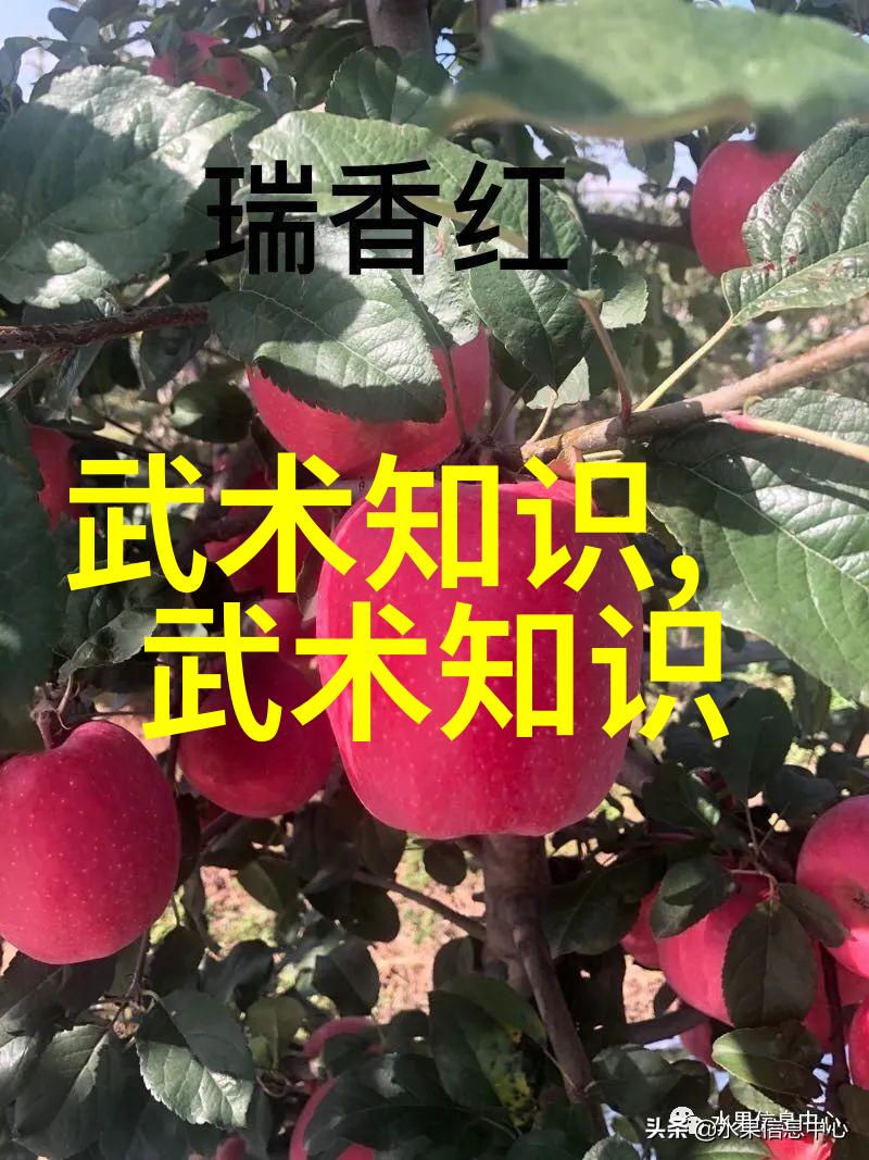 古风雅致的帮派宗旨 - 纵横江湖雅韵满怀探索古风帮派的文化底蕴
