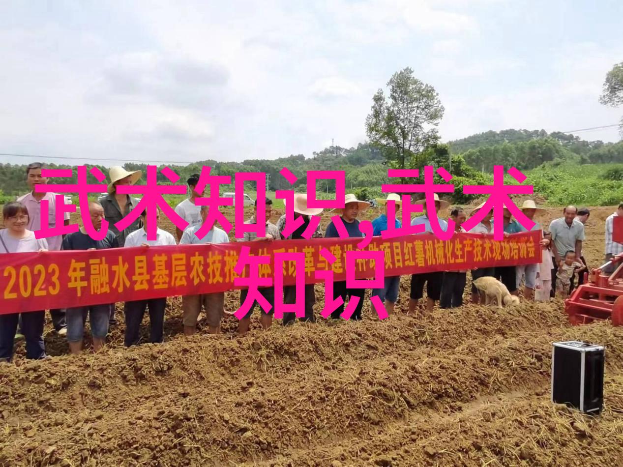 门派的秘密探索现存武林的遗迹与传说