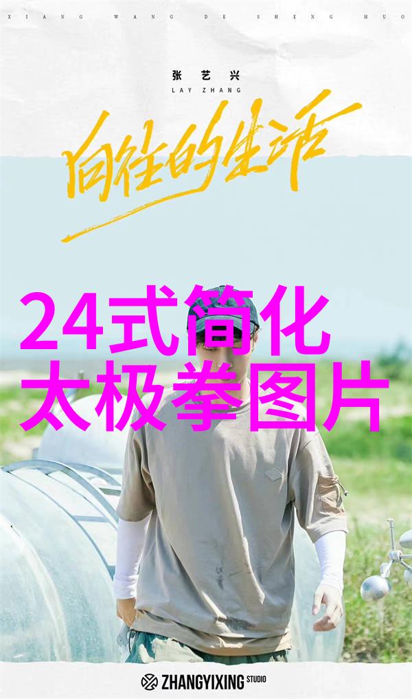 古代武功秘籍犹如江湖中的真龙真正的杨家太极拳如同那被世人传颂的紫气东来在这份排名之中它以其独特的内力