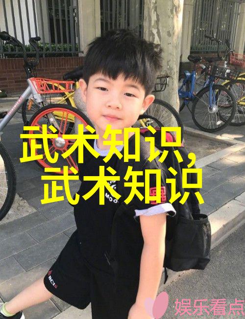 中国功夫门派实战排名中华武术门派实战演练排行榜
