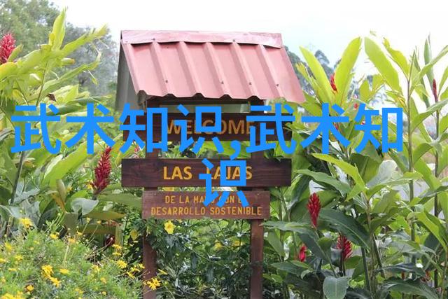 中国十大剑法之首哪一门剑法最具古典韵味