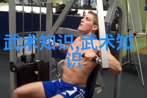 武林秘籍揭秘中国古老武术流派之谜腾挪架太极拳的奥秘