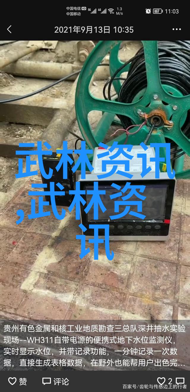 中国武林新贵江湖中最耀眼的星辰