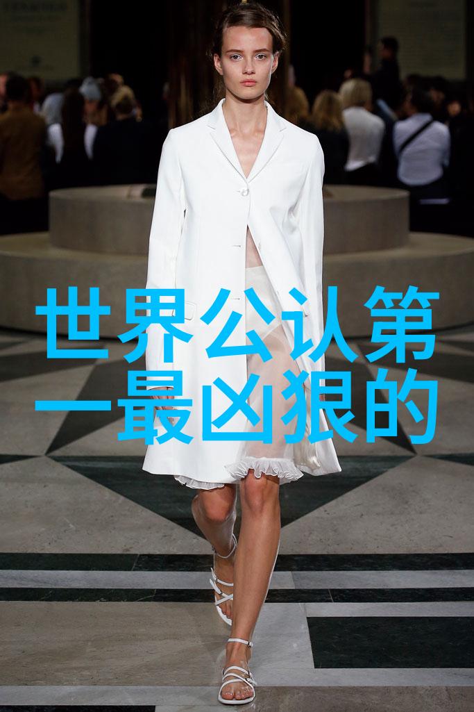 武术活动名称大全 - 掌门人指引武林秘籍中的精华练习