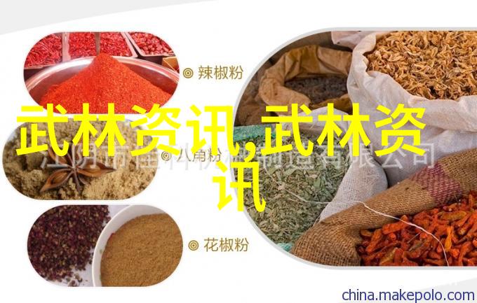 中华武术秘籍中华古老的武术技巧与哲学