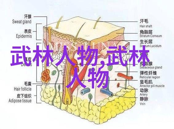 武林十绝揭秘中国武术中的经典秘籍
