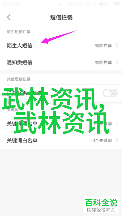 中国武术竞赛中的技巧与规则你知道多少