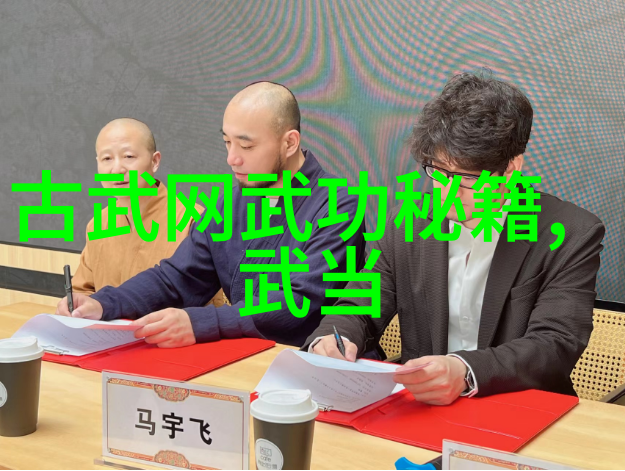 轻功修炼速效法则探究基于内外兼修的理论与实践