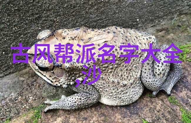 哔哩哔哩大型活动Bilibili的大型线上活动