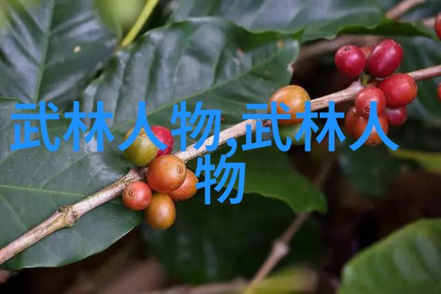 宗门探秘我亲眼见证的天穹宗那一刻