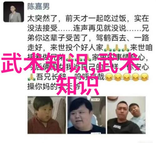 武林秘笈陈家小架太极拳门派名字大全中的幽默之选