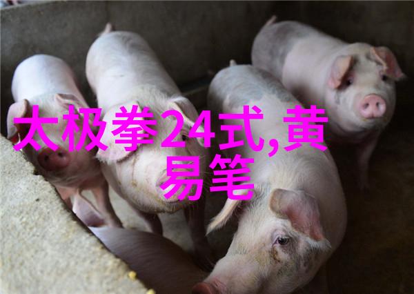 武林秘籍揭秘门派拳种济宁查拳之谜