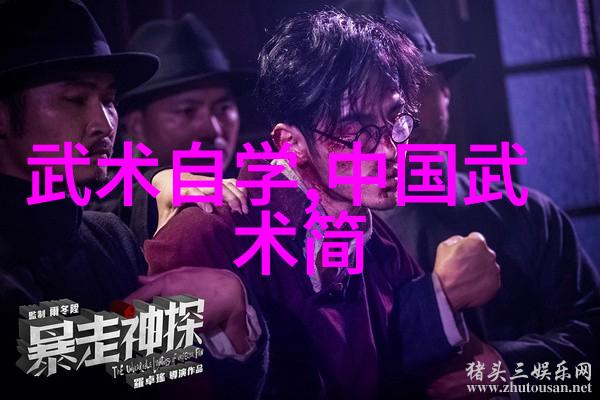 拳影中的哲学武术与生活智慧的融合
