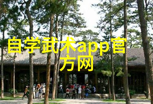 古代武功秘籍我怎样从一本破旧的书里发现了解开武林之谜的秘密