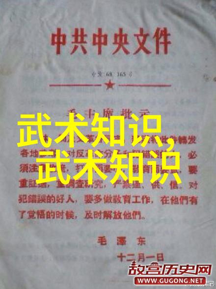 掌门位子空缺武林各大派争夺新一代领袖