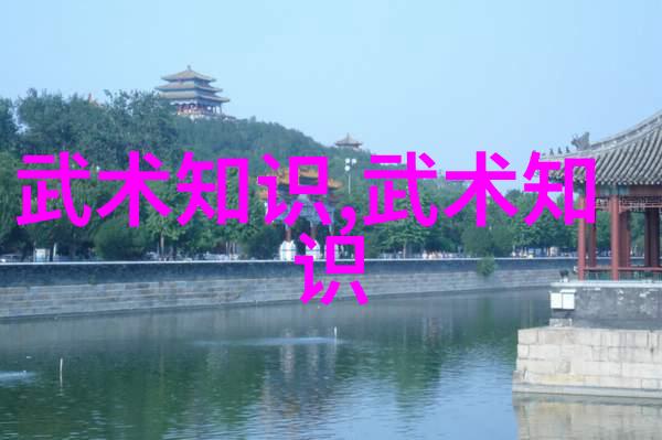 太极拳的道家思想难道不在于这些武功秘籍中的每一张图片吗