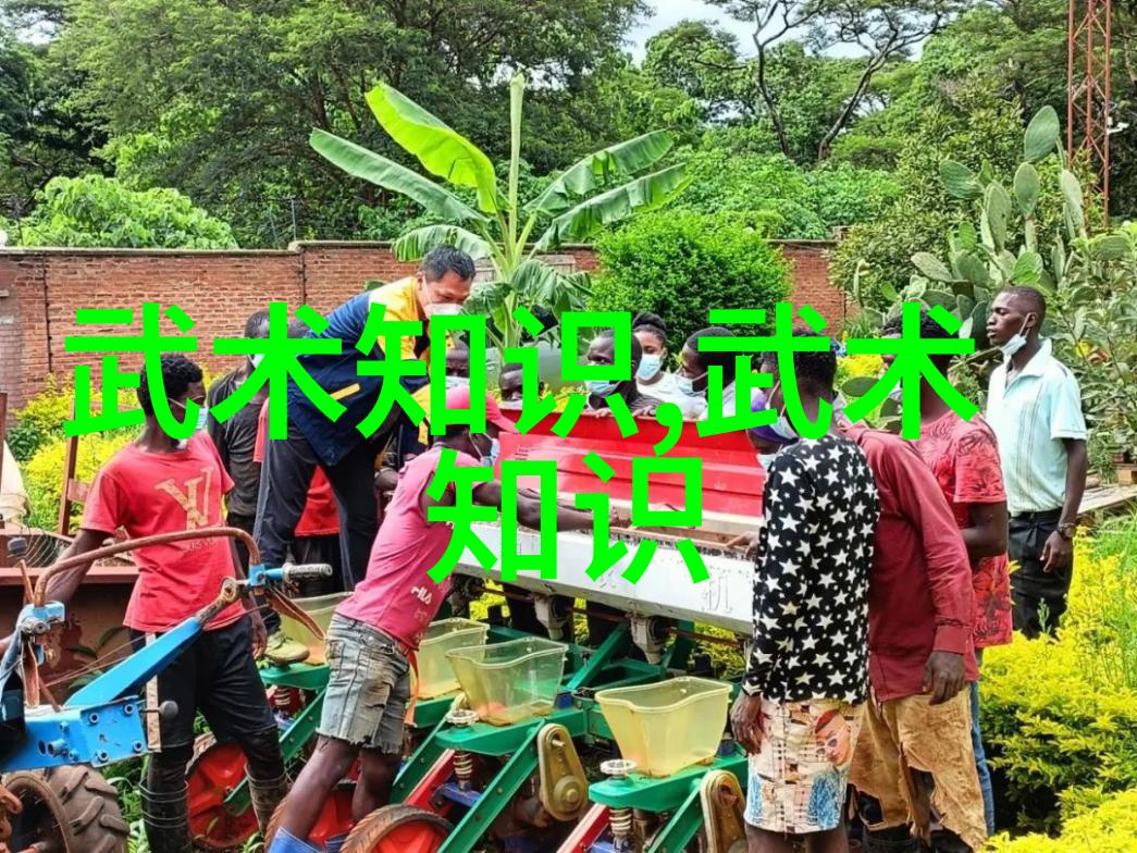 春暖花开闲听落花随笔