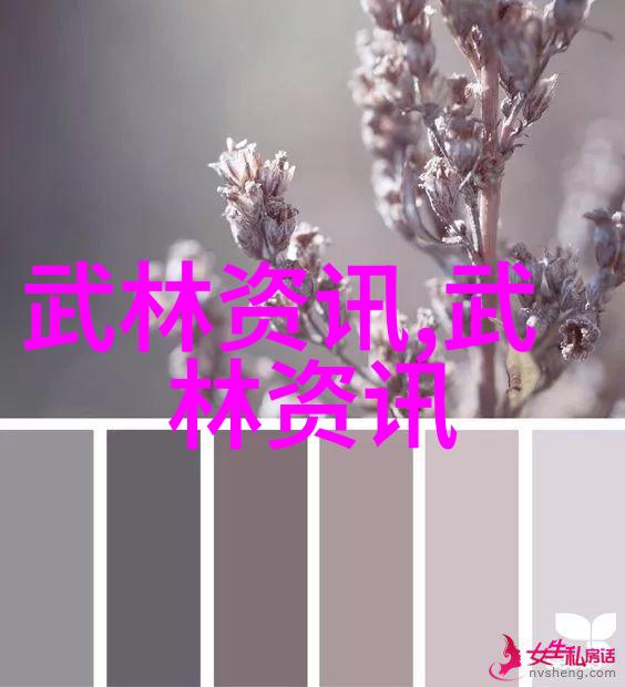太极拳24式精讲步步为营的修炼之道