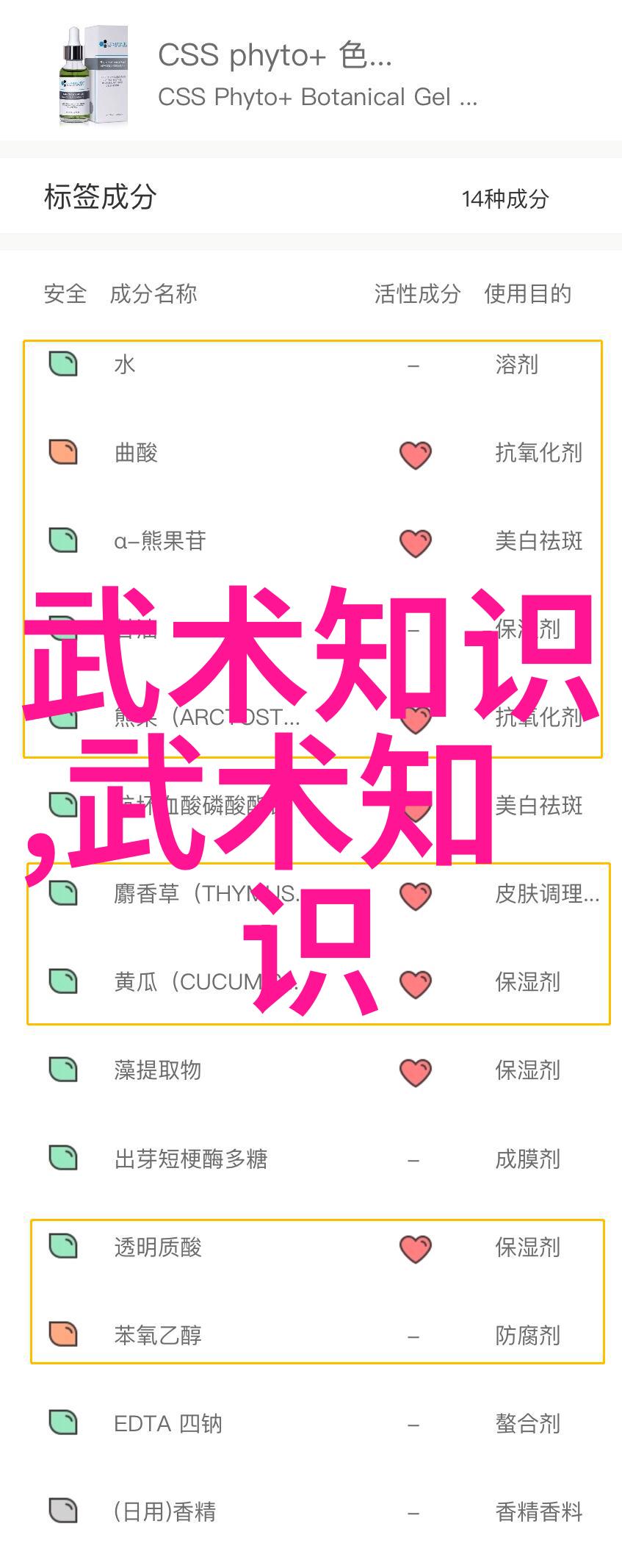 中国武术的丰富多彩与深厚传统探索各地门派的独特魅力