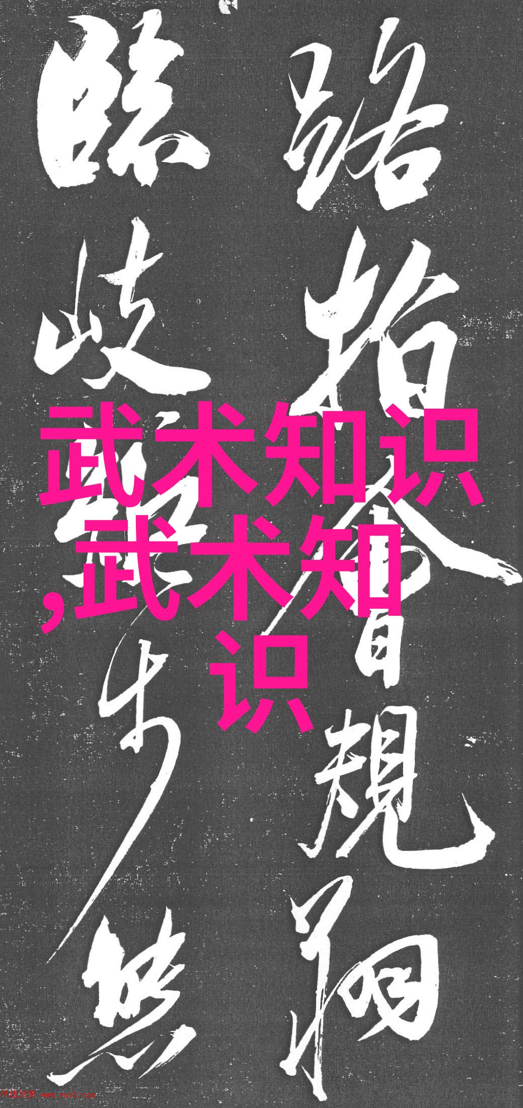 霸气军团的自然征途武式固安太极拳