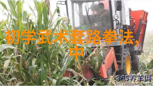 现存的门派中如同梅花拳这样独特而美丽的拳种犹如春天里最为珍贵的花朵绽放着古老文化的芳香