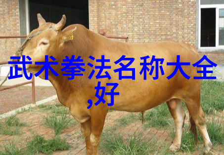 名将云集武林15门正宗功法你知道多少
