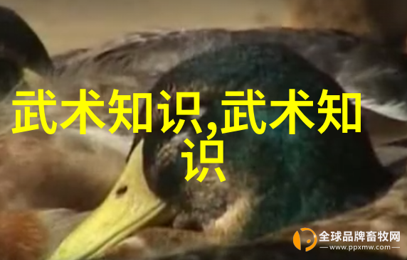 禁练10种气功-揭秘禁止练习的十大内功