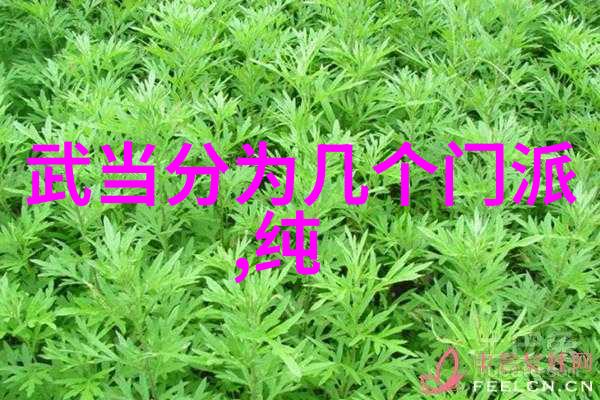 心灵觉醒领略顶级宗门的内在力量
