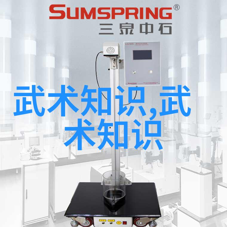 揭秘江湖百年遗珠十大真实武功秘籍的神秘传承
