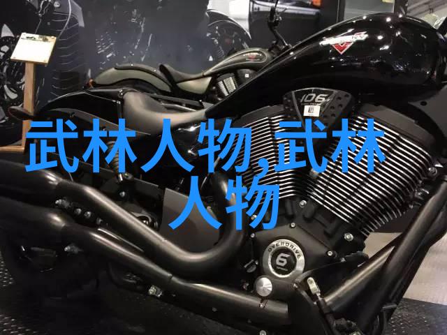 太极24式分解式介绍揭秘内功与外形的完美结合