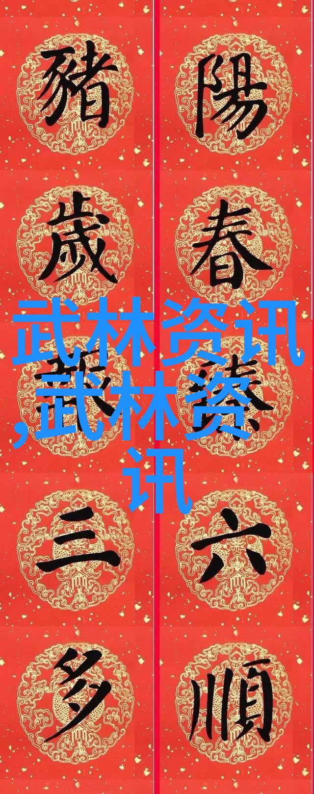 武林秘籍静心功夫与激战拳法