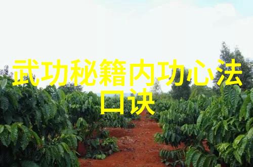 武侠秘籍探秘我来给你揭晓十大最强武功秘籍你准备好了吗