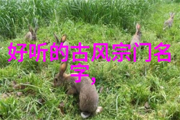 实战十绝揭秘武术世界的最强十门