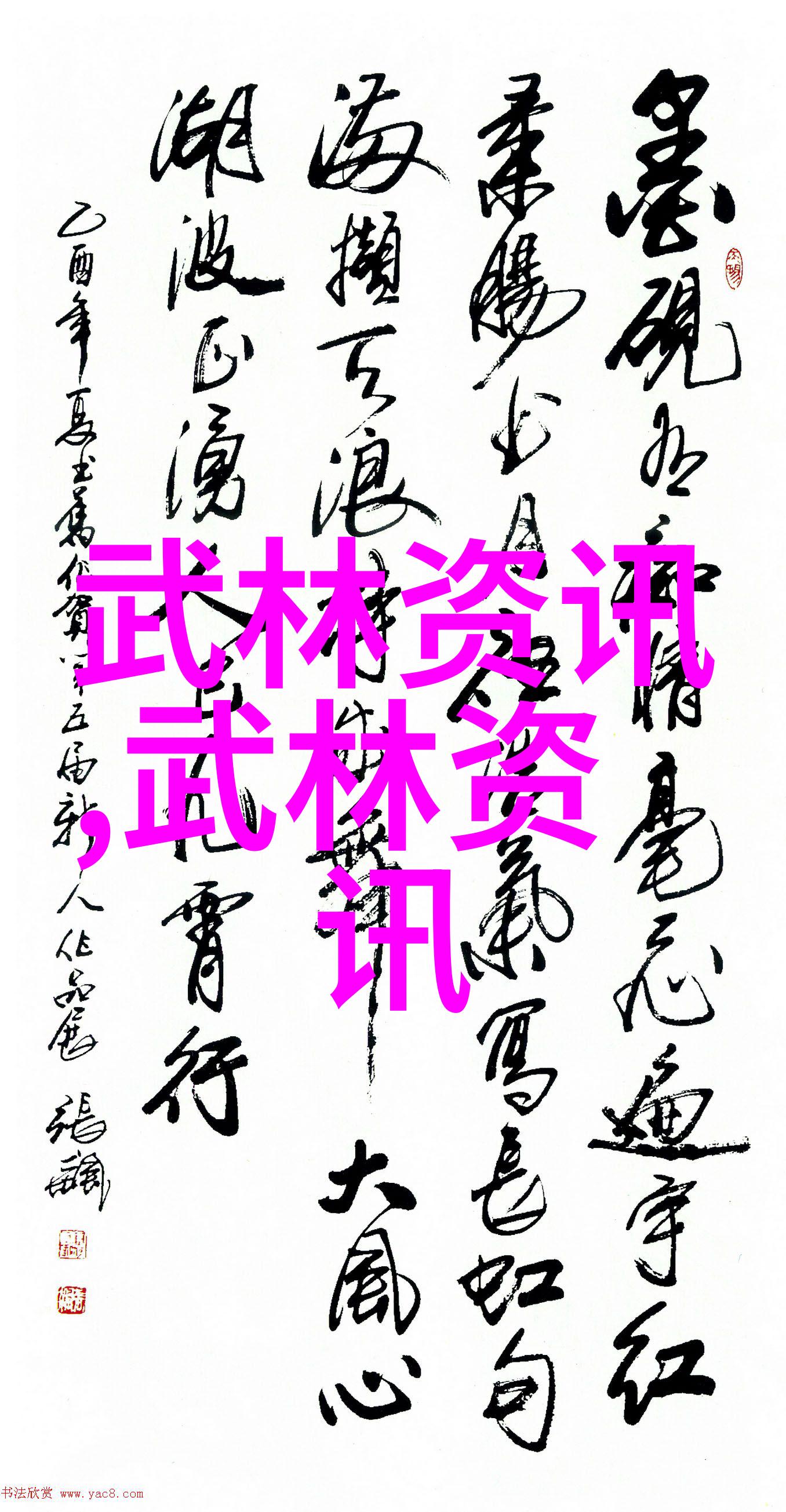 武术的秘密揭秘我教你这12个基本动作