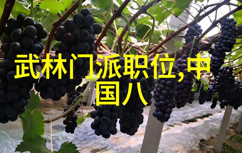 赛前是时候了你准备好了吗来尝试健美先生的生酮减脂饮食计划吧