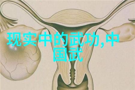 功夫大全探秘武林中最精妙的招式与拳法