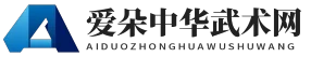 爱朵中华武术网