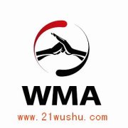 中国武术职业联赛标准QA