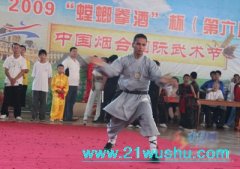 烟台国际武术节开幕