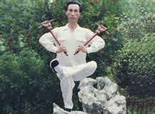 武术绝招全部_武术绝招少林心意_中华武术八大绝招/