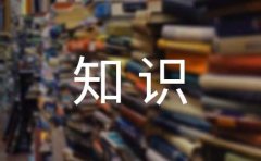 中国武术中的功夫知识