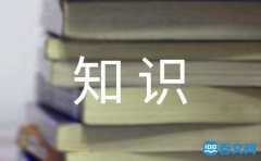 武术知识