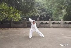 武术基础知识中国特色武术文化