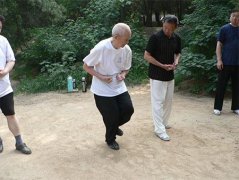 薛颠象形术飞云摇晃旋